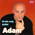 logo ADAM - Topic