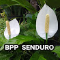 BPP PASRUJAMBE SENDURO