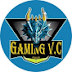 VC Gaming