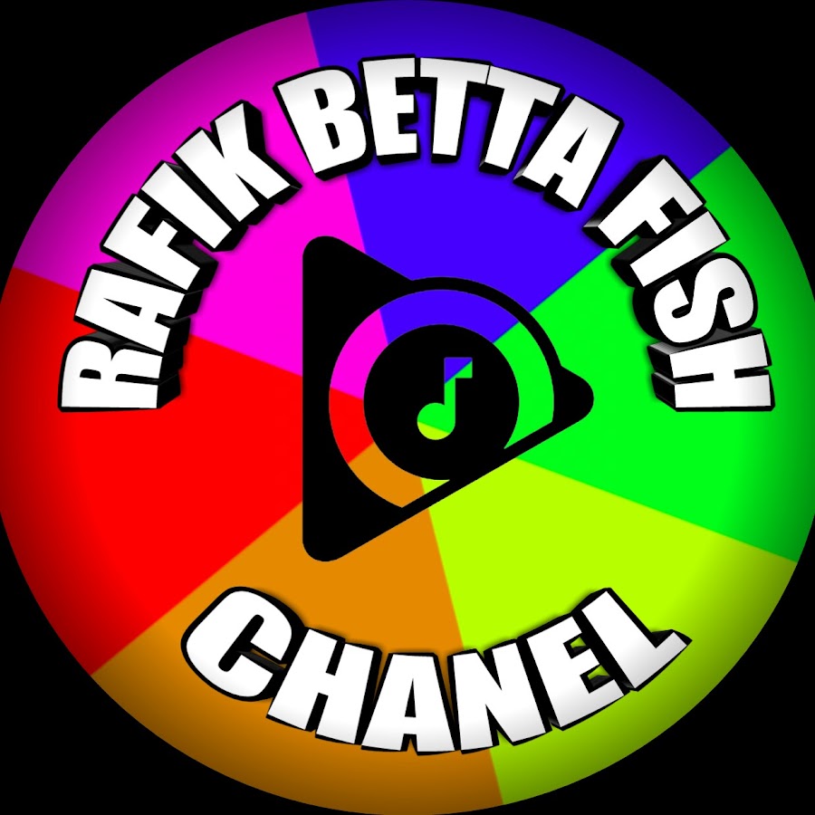 Rafik Betta fish Chanel