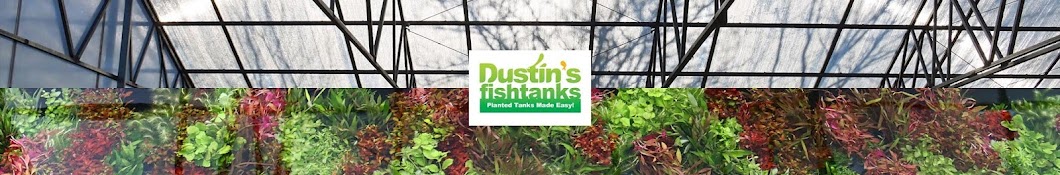 Dustin's Fish Tanks