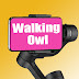 logo Walking Owl