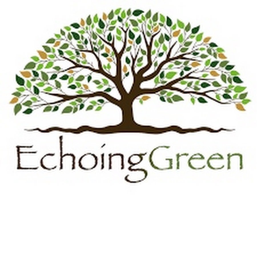 the-echoing-green-nicholas-waton