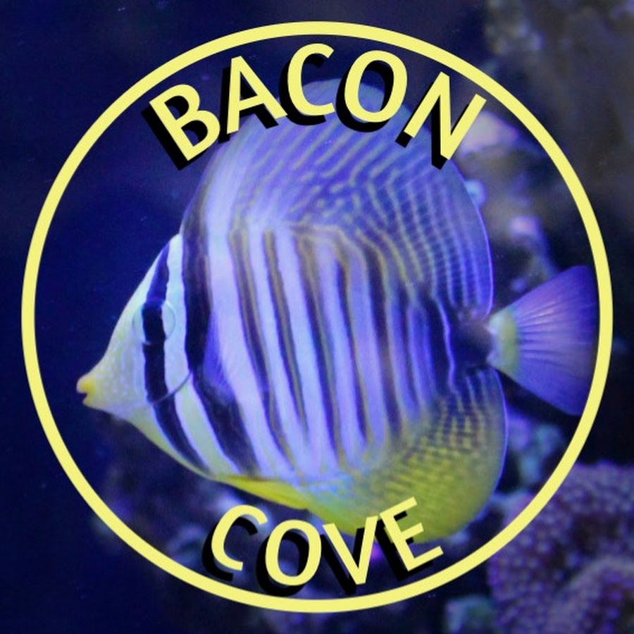 Bacon Cove