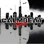 CalmBeat BGMStudio