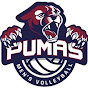 Perry Pumas Boys Volleyball