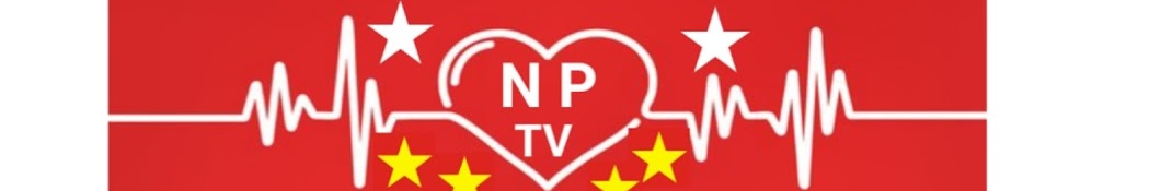 Nippon Pulse TV