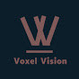 Voxel Vision