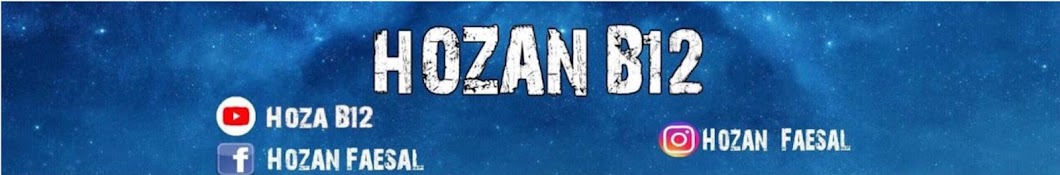 HOZAN B12 Banner
