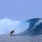 Rogue Wave Surfboard Repair