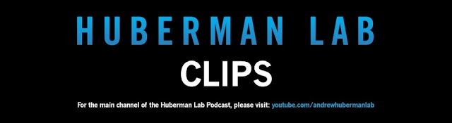 Huberman Lab Clips