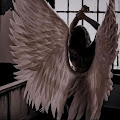 Artist Thumbnail