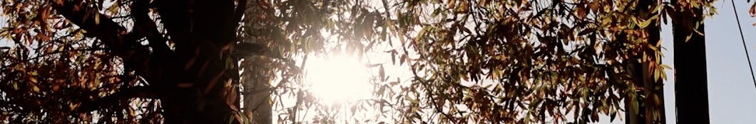 simi.mp4's Banner