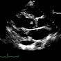 Cardiology Health 