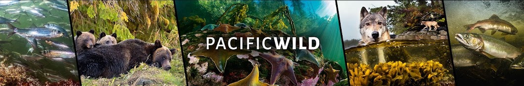 Pacific Wild