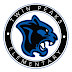 logo Twin Peaks Panthers