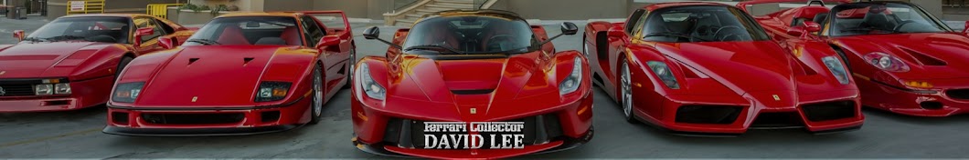 Ferrari Collector David Lee Banner