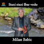 Milan Babić - Topic