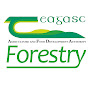 Teagasc Forestry