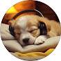 Healing Dog Music