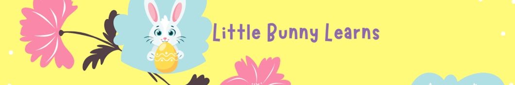 Little Bunny Learns