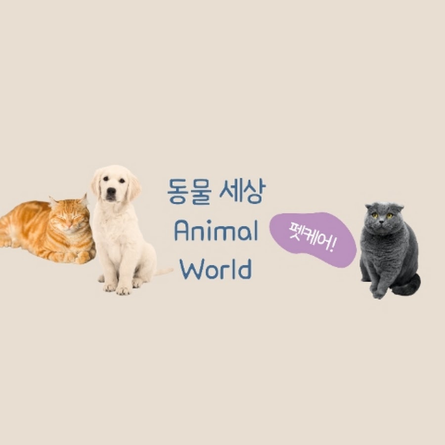 동물세상 Animal World - YouTube 동물세상 Animal World