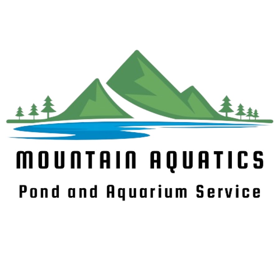 Mountain Aquatics @mountain_aquatics