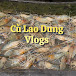 Cù Lao Dung Vlogs