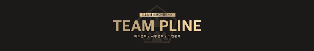 PLINE - 팀 피라인