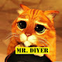 Mr. DIYer