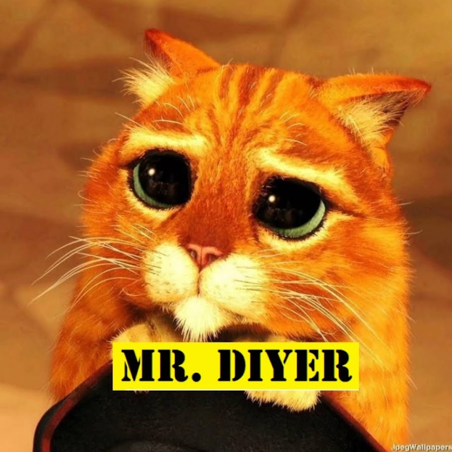 Mr. DIYer @MrDIYer