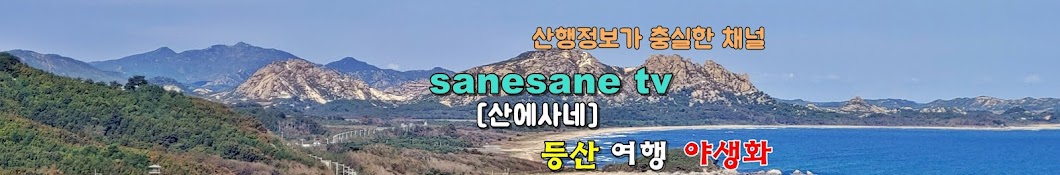 sanesane tv