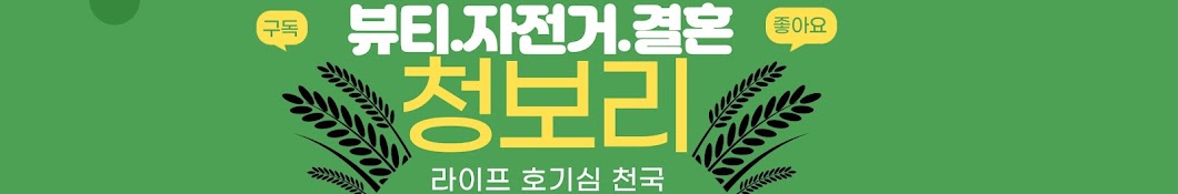 청보리