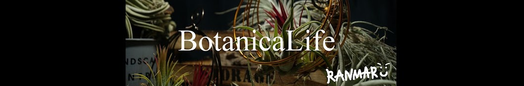 らんまるの園芸チャンネル [BotanicaLife] Banner