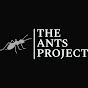 The Ants Project