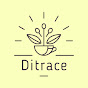 Ditrace / ディトラス