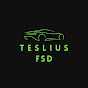 Teslius FSD