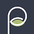 logo Polz Studio