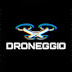 logo DRONEGGIO