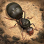 The Ants: Underground Kingdom_DE_IT