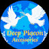 Deep Pigeon Accessories