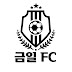 금일FC