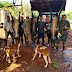 Equipe Tabajara Controladores de Javali