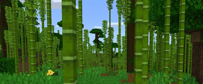 Artist Thumbnail