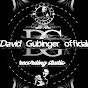 David Gubinger official