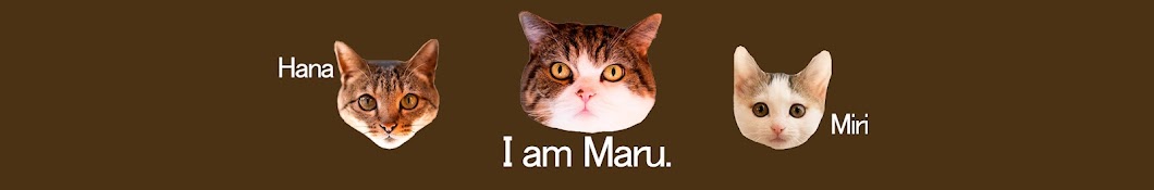 I am Maru. Banner