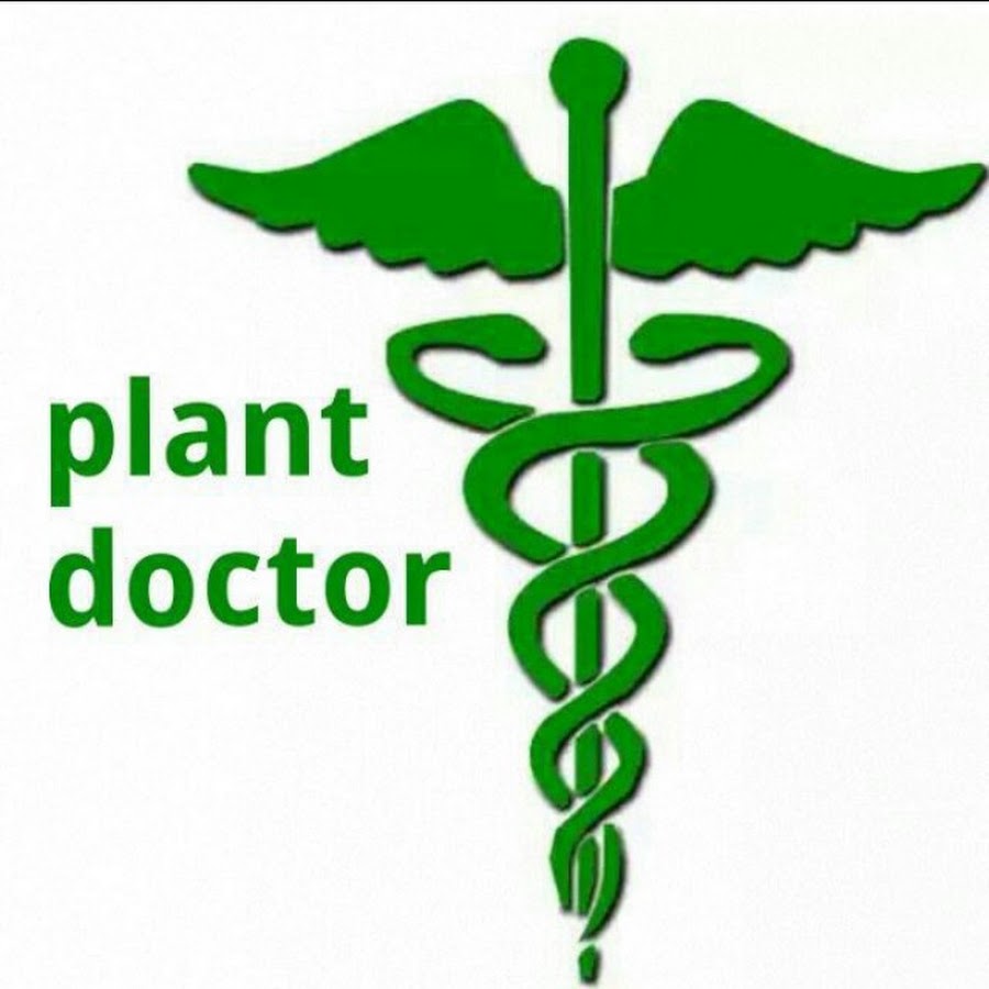 Plants doctor. Plant Doctor logotip.