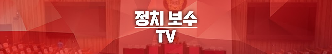 정치보수 TV