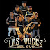 logo Las Voces Del Sur