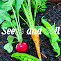 Seeds & Soil